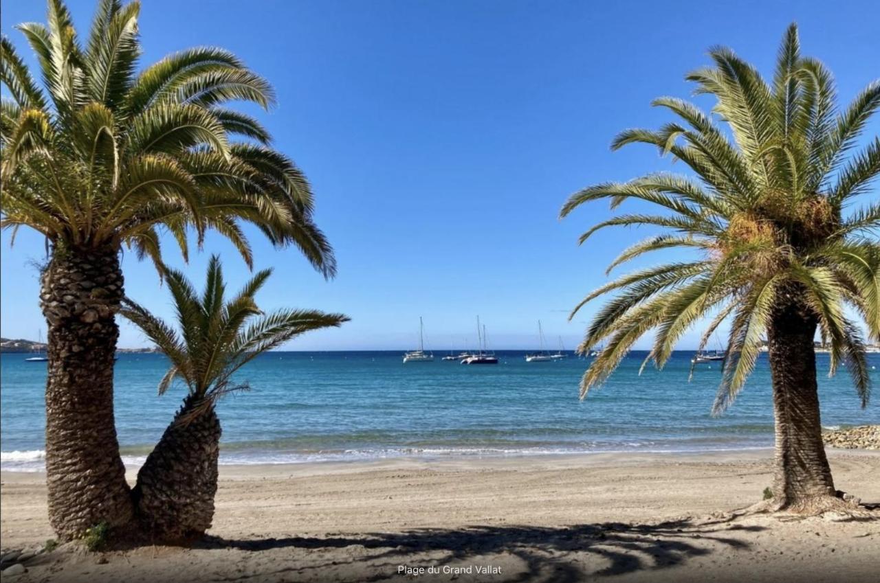 Bandol: Elegant Et Cosy 2 Pieces, Proche Ville Et Plage Ngoại thất bức ảnh